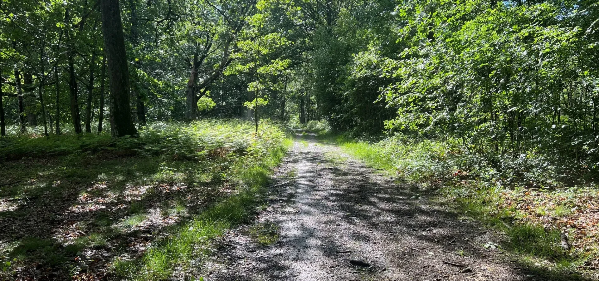 Rallye des coteaux 2026 – Marcheurs 10 km