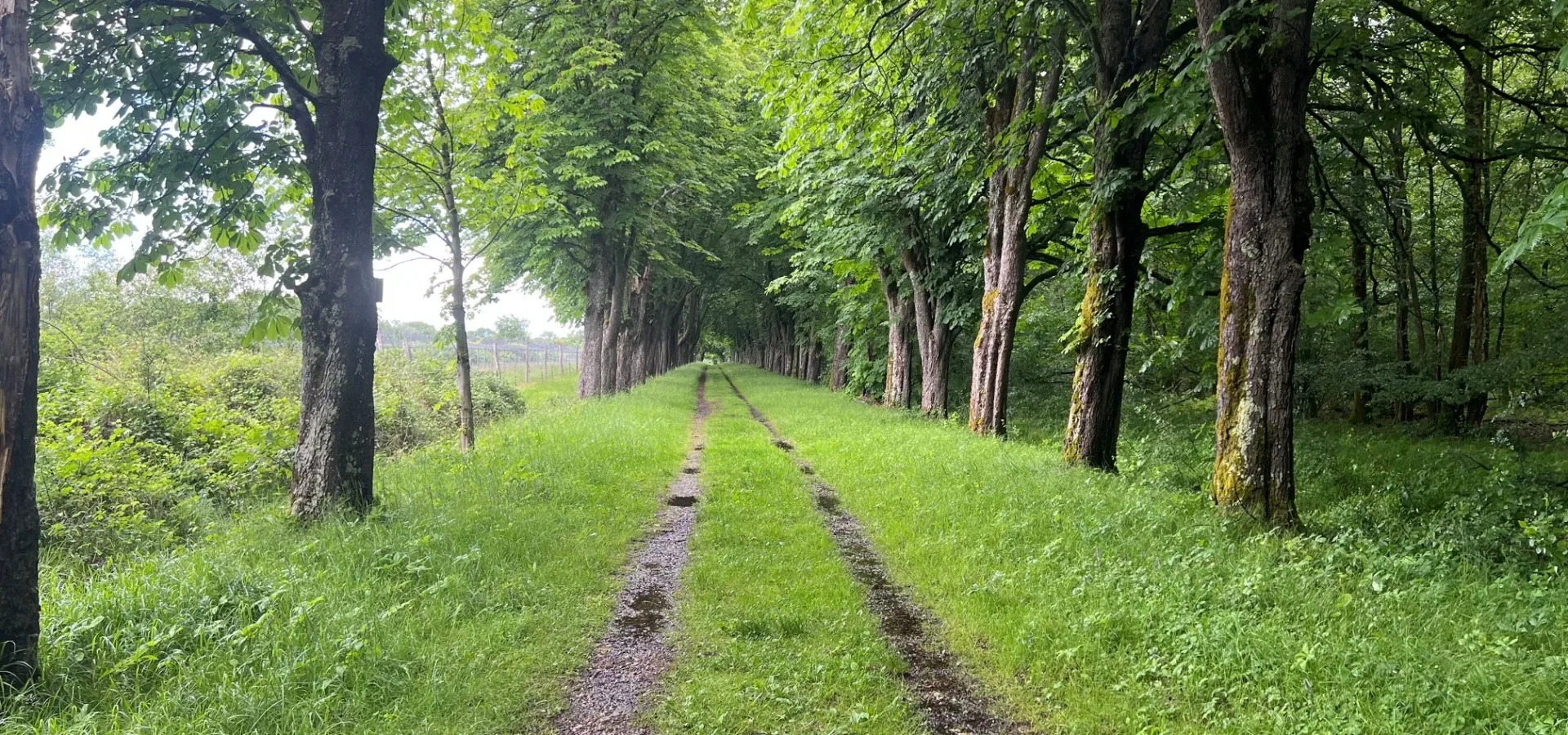 Rallye des coteaux 2026 – Marcheurs 13,5 km