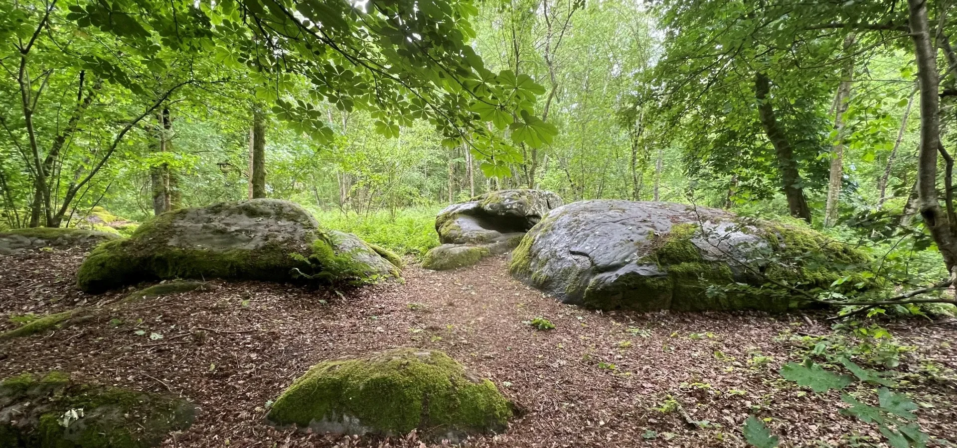 Rallye des coteaux 2026 – Marcheurs 13,5 km